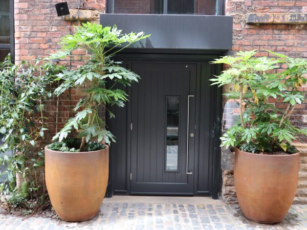 black contemporary door